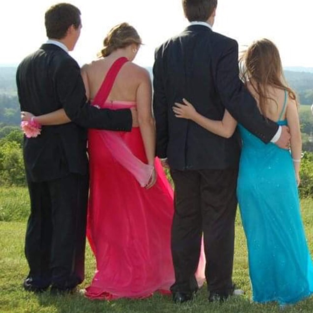 Formal/Prom Dress - Picture 3 of 6